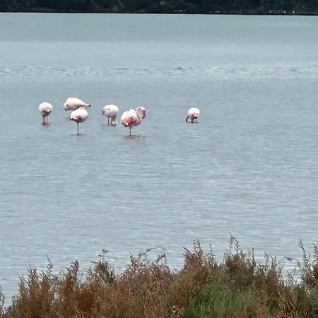 Casa vacanze Via Roma House Casetta