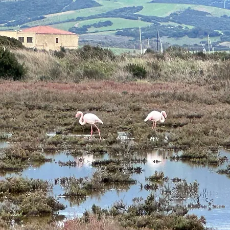 Tatil Evi Via Roma House Casetta *